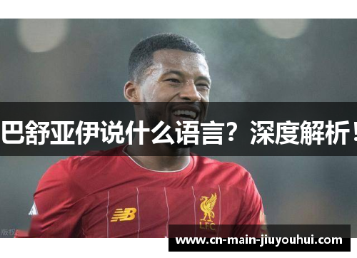 巴舒亚伊说什么语言?深度解析! 巴舒亚伊说什么语言?深度解析!