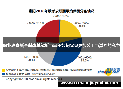 职业联赛新赛制改革解析与展望如何实现更加公平与激烈的竞争