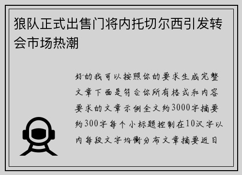 狼队正式出售门将内托切尔西引发转会市场热潮